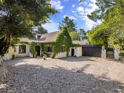 Click to view more details